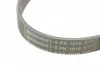 Ремень генератора Jumper/Boxer 2.5 D/TD 94-02/MB OM601/602 88-96 Contitech 6PK1010 (фото 4)