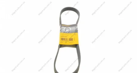 Ремень генератора Jumper/Boxer 2.5 D/TD 94-02/MB OM601/602 88-96 Contitech 6PK1010