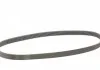 Ремень генератора Jumper/Boxer 2.5 D/TD 94-02/MB OM601/602 88-96 Contitech 6PK1010 (фото 5)