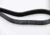 Пас поліклиновий VW LT 2.8TDI 01-06/Volvo 850/S70 Contitech 6PK1685 (фото 1)