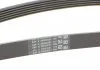Ремінь поліклиновий, AUDI A4-A8, OPEL Vectra C, VW Passat 2.0-2.8 97-07 Contitech 6PK1880 (фото 3)