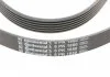 Ремінь поліклиновий, AUDI A4-A8, OPEL Vectra C, VW Passat 2.0-2.8 97-07 Contitech 6PK1880 (фото 4)