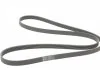 Ремінь поліклиновий, AUDI A4-A8, OPEL Vectra C, VW Passat 2.0-2.8 97-07 Contitech 6PK1880 (фото 5)