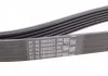Пас поликлиновый MB Vito (W638) 2.2 CDI 96-/ T4 2 Contitech 6PK2077 (фото 2)