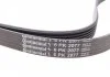 Пас поликлиновый MB Vito (W638) 2.2 CDI 96-/ T4 2 Contitech 6PK2077 (фото 3)