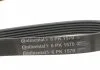 Ремінь поліклиновий Contitech 6PK1570 (фото 4)