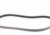 Ремень генератора 2.0i Ford Sierra/Granada 85-94 Contitech 6PK1230 (фото 5)