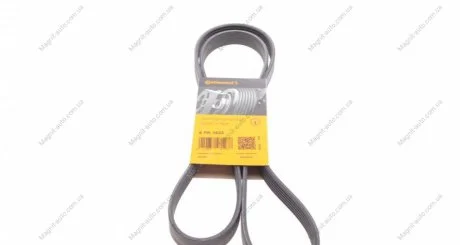 Ремень поликлиновой Contitech 6PK1623