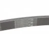 Пас поликлиновый MB Sprinter OM601/602 (PS) Contitech 6PK2030 (фото 3)