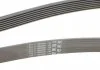 Пас поліклиновий Contitech 7PK2283 (фото 3)