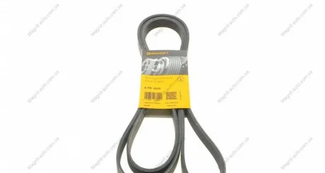 Ремень поликлиновый Contitech 6PK2535