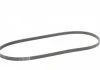 Ремень поликлиновый, HONDA Accord 90-96 Contitech 4PK1070 (фото 5)