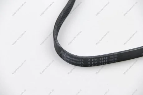Ремінь поліклиновий Contitech 5PK1145