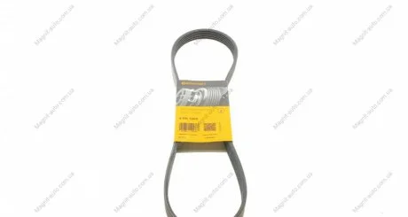 Ремень поликлиновой Contitech 6PK1005