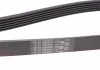 Ремень привода навесного оборудования Contitech 6PK1580 (фото 3)