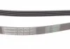 Пас поліклиновий VW Crafter 2.5TDI 06-13/Audi Q7 3 Contitech 6PK2523 (фото 2)
