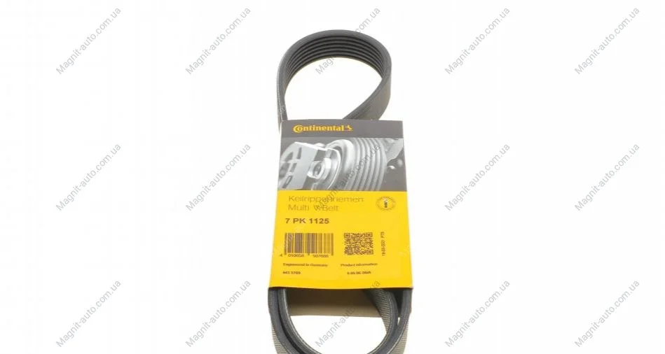 Пас поліклиновий Renault Megane/Scenic 1.9dCi/2.0 Contitech 7PK1125 (фото 1)