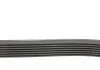 Пас поліклиновий Renault Megane/Scenic 1.9dCi/2.0 Contitech 7PK1125 (фото 2)