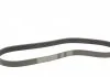 Пас поліклиновий Renault Megane/Scenic 1.9dCi/2.0 Contitech 7PK1125 (фото 5)