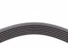 Пас поликлиновый Honda Civic 1.8i 05- / CR-V 2.0 07 Contitech 7PK2061 (фото 4)
