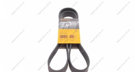 Ремінь генератора, OM904 Contitech 8PK1420