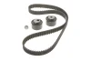 Комплект ГРМ Scudo/Jumpy/Berlingo/Partner 2.0HDi 00- Gates K015524XS