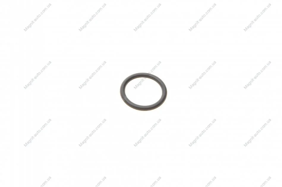 Уплотнительное кольцо BOSCH F00RJ01026 (фото 1)