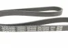 Ремень П-клиновый Dayco DAYCO 4PK1022EE (фото 3)