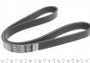 Ремень поликлиновый, FORD B/C-Max/Fiesta/Focus, MAZDA 2 1.25-1.6 03- DAYCO 6PK1019EE (фото 3)