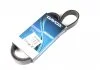 Ремень П-клиновый Dayco DAYCO 6PK1059EE (фото 1)