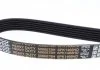 Ремінь генератора Berlingo/Jampy/Jamper DAYCO 6PK1468HD (фото 2)