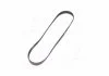 Ремінь поліклиновий, FORD B-Max/Fiesta/Mondeo 1.25-1.6 +Ti 07- Gates 6PK1029SF (фото 4)