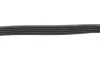 Ремень поликлиновый, FORD C-Max/Focus, VOLVO C30/S40/V50 1.4, 1.6 +Ti 03- Gates 5PK868SF (фото 3)