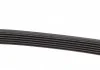 Ремінь П-клиновий Dayco DAYCO 6PK691EE (фото 3)