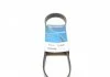 Ремень П-клиновый Dayco DAYCO 6PK831EE (фото 1)
