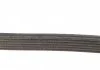 Ремень П-клиновый Dayco DAYCO 6PK831EE (фото 3)