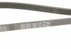 Ремень поликлиновый, E36/E34/E39 2.5 td/tds 91-99 Gates 5PK1815 (фото 5)
