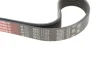 Ремень поликлиновый, HONDA Accord, NISSAN Maxima/Tiida 1.8-3.0 98-12 Gates 6PK1103 (фото 4)