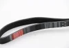 Ремінь генератора Citroen Berlingo 1.6 00-08/ Nemo 1.4i 08- Gates 6PK1560 (фото 1)