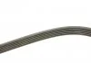 Ремінь поліклиновий, MAZDA 3 1.6 08-14, OPEL Vectra C 3.2 V6 03-05 Gates 6PK1863 (фото 3)