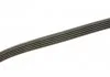 Ремінь поліклиновий, MAZDA 626, MITSUBISHI Colt/Galant/Lancer 1.8-2.2 87- Gates 5PK1063 (фото 3)