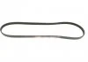 Ремень поликлиновый, MITSUBISHI Lancer, TOYOTA Corolla/Yaris 1.4-2.0 92-05 Gates 5PK1193 (фото 4)