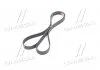 Поликлиновые ремни Micro-V (произ-во) Gates 8PK2188 (фото 4)