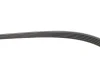 Ремень поликлиновый, OPEL Astra G/H/Corsa 1.0-1.4 98- Gates 5PK1355 (фото 3)