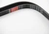 Ремень генератора, OM651 2.2CDI Gates 6PK2213