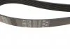 Ремень поликлиновый, HONDA CR-V, HYUNDAI H-1, KIA Sorento 2.0, 2.5 CRDi 01- Gates 7PK1730 (фото 3)
