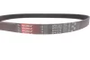 Ремінь генератора, 1.9dTi/dCi, 01- Gates 6PK1210 (фото 4)