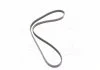 Поликлиновые ремни Micro-V (произ-во) Gates 5PK1260 (фото 1)