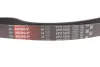Ремень генератора, OM601-602 (-PS) Gates 6PK1000 (фото 4)