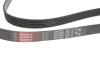 Ремень генератора BMW X5 3.0 d 07-13/Ford Focus 1.4/1.6 98-04 Gates 6PK1893 (фото 2)